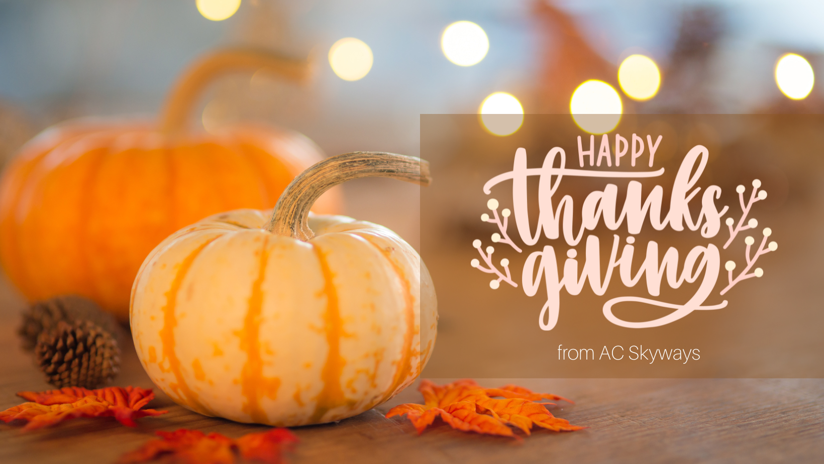 Happy Thanksgiving from Skyways